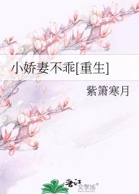 小娇妻有点甜全文免费阅读