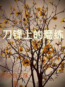 刀锋上的救赎简介