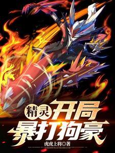 精灵宝可梦 火系