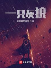 一只灰太狼