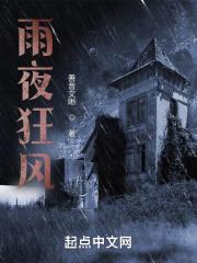 狂风暴雨夜景图片