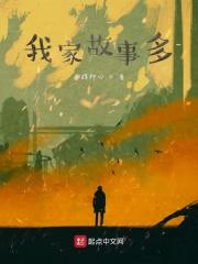 我家的故事 百科