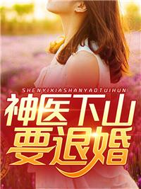 风起明末讲什么