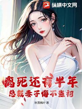 总裁离婚妻子