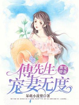 傅先生宠妻无度全文免费