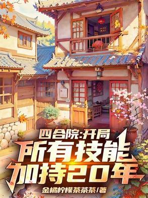 四合院开局做选择题