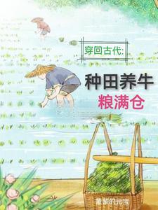 回到古代种水稻txt