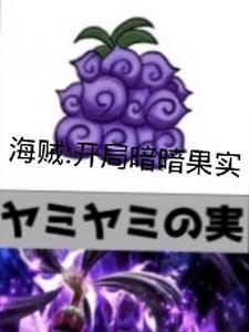 海贼主角暗暗果实
