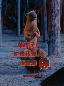 人皮vv