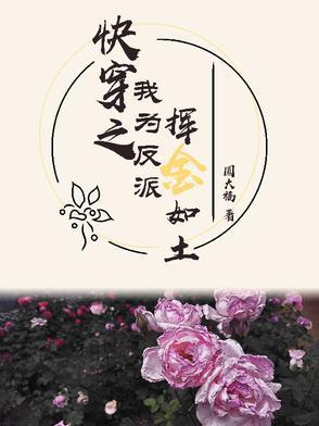 我为反派送温暖[快穿