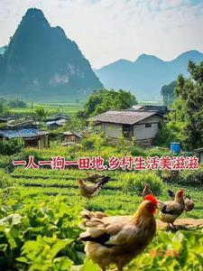 史上最强小神医