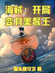 变身海贼王