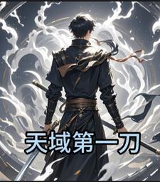 天域武器外观