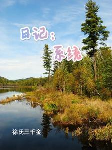 写日记系统