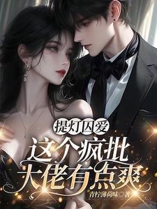 提灯系列讲了什么