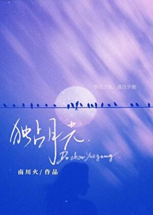 独占月光予我白鹭
