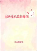 封先生总是很美丽作者江山沧澜