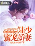 婚途漫漫傅少蜜宠佳妻免费