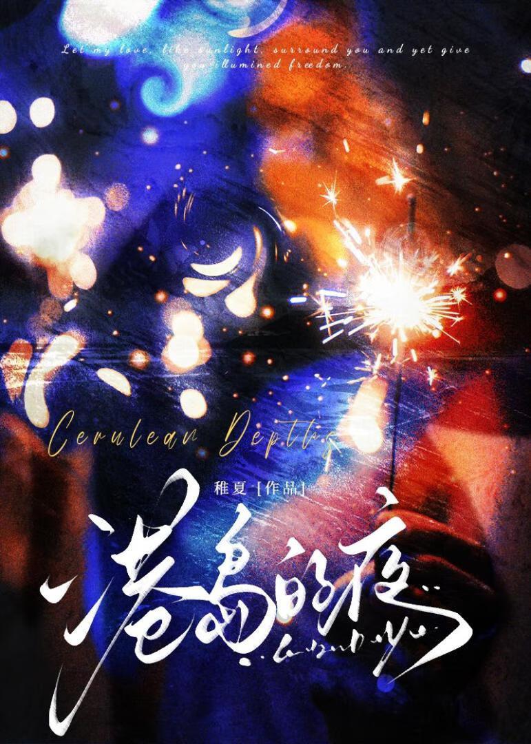 港岛的夜岑殊作者