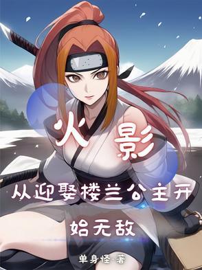 从火影起航