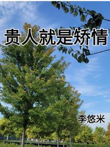贵人的贵