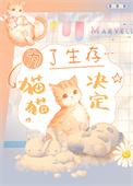 为了生存猫猫决定txt