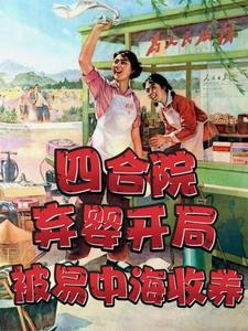 四合院聋老太的养子当孙子