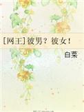 网王bp