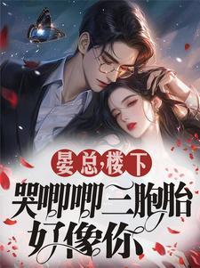 总裁白月光文