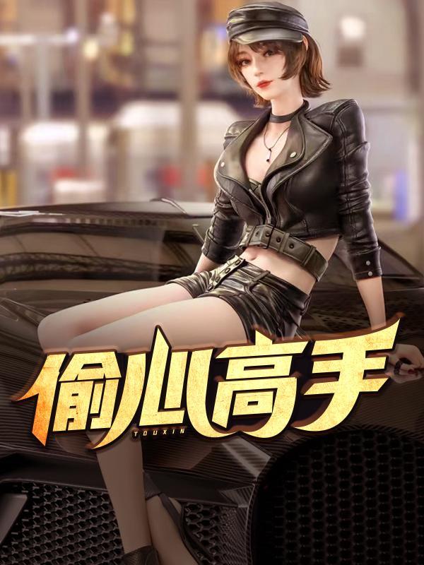 偷心高手苏菲免费阅读全文