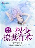 盛爱绝宠之权少撩妻有术