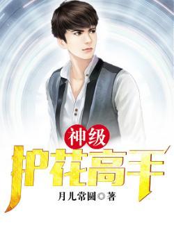 神级护花高手 月儿常圆TXT