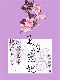 艳杀六宫王的宠妃