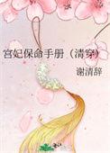 宫妃txt