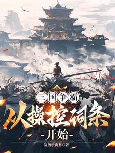 三国争霸从操控词条开始全文阅读