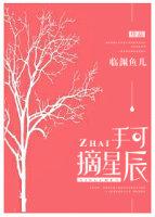 手可摘星辰歌曲