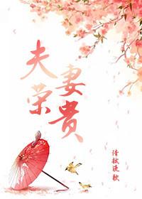 夫荣妻贵秦音扮演者