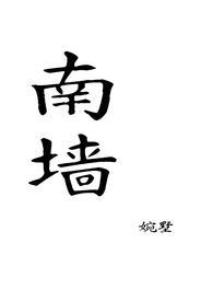 南墙故事