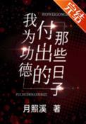我为功德付出的那些日子在线阅读