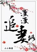 漫漫追妻路剧情介绍