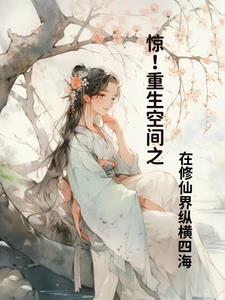 惊!重生空间之在修仙界纵横四海列表 作者画雨棉棉