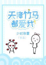 天降竹马游戏全攻略