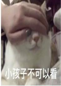 圈养折枝在线阅读