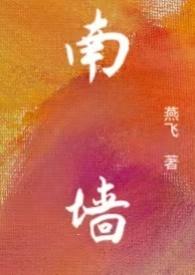 南墙作品