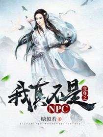 我真不是npc天命王侯爱看书吧笔趣阁
