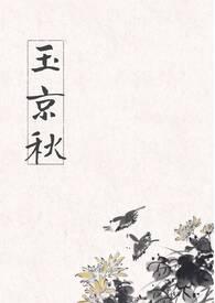 玉京秋烟水阔拼音