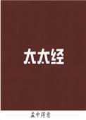 太太经孟中得意笔趣阁