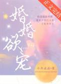 婚婚欲宠沈静姝全文免费阅读