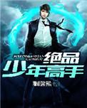 绝品少年高手第九集