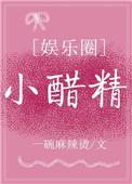 小醋精娱乐圈txt